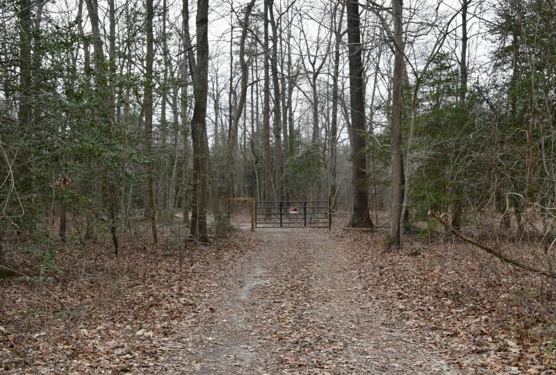 Cruelty suspect barred from owning an animal Cape Gazette